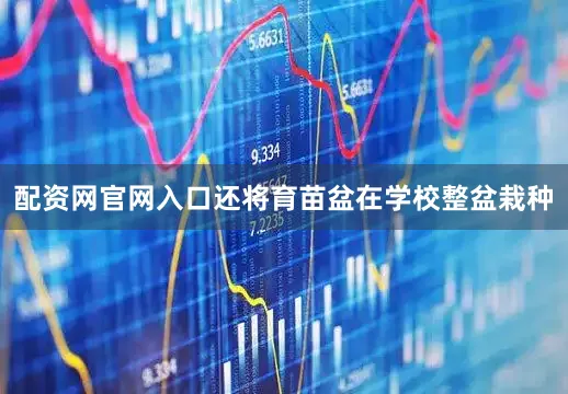 配资网官网入口还将育苗盆在学校整盆栽种