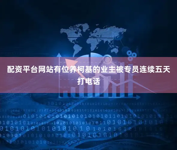 配资平台网站有位养柯基的业主被专员连续五天打电话