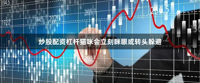 炒股配资杠杆猫咪会立刻眯眼或转头躲避